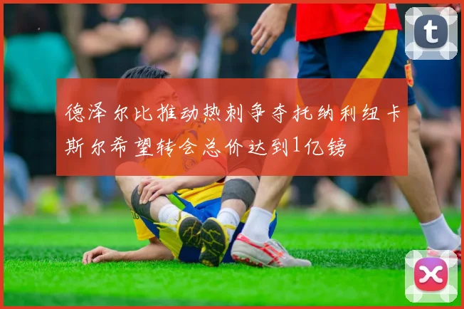 德泽尔比推动热刺争夺托纳利纽卡斯尔希望转会总价达到1亿镑