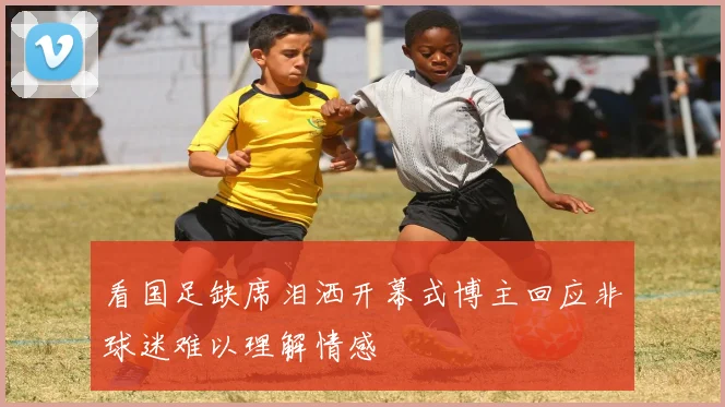 看国足缺席泪洒开幕式博主回应非球迷难以理解情感